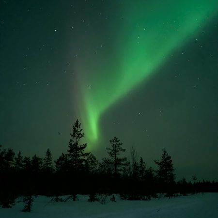 af930922-38ab-4b7b-be81-295773563852~1