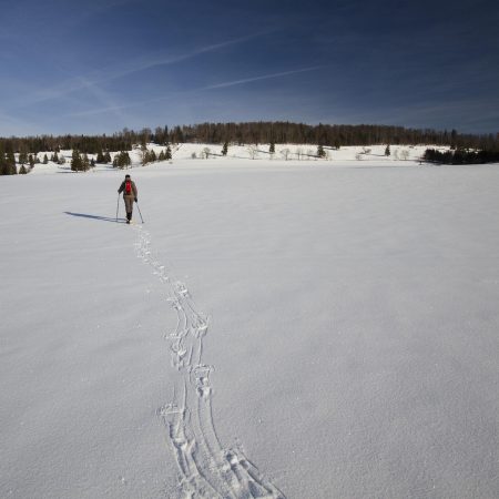 snowshoeing-2215170_1920